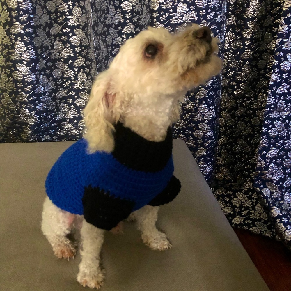 Beautiful hand knitted dog sweater